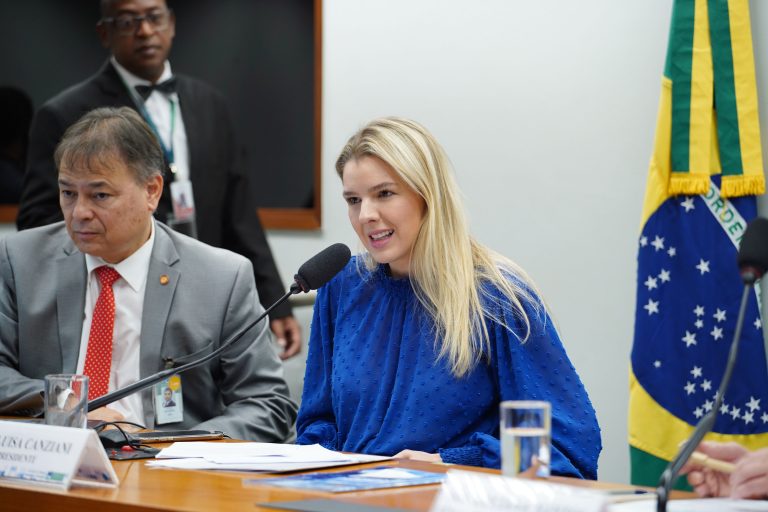 Reunião Extraordinária – Plano de ações e políticas de governo no setor de Ciência, Tecnologia e Inovação. Dep. Luisa Canziani (PSD - PR)