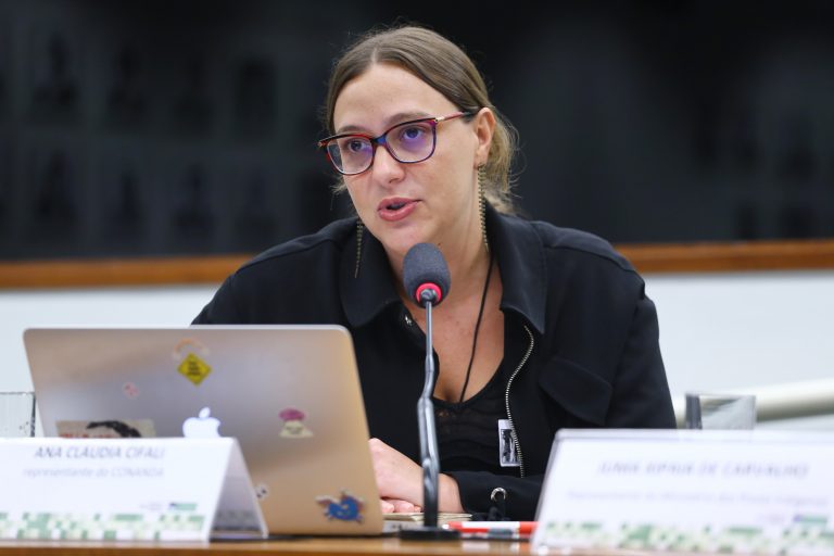 Audiência Pública - Violências cometidas contra crianças e adolescentes indígenas – Brasil. Conselho Nacional dos Direitos da Criança e do Adolescente-Conanda, Ana Claudia Cifali.