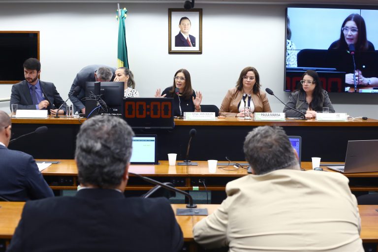 Audiência Pública - Debater os ataques às escolas e políticas de segurança pública.