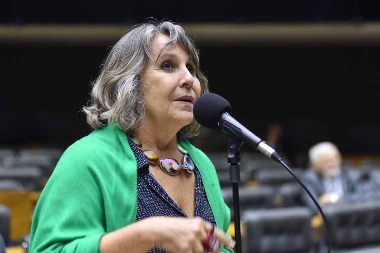 Deputada Erika Kokay (PT-DF) no Plenário da Câmara dos Deputados