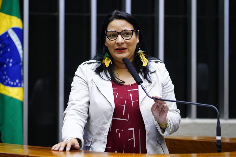 Sessão Deliberativa. Dep. Juliana Cardoso (PT - SP)