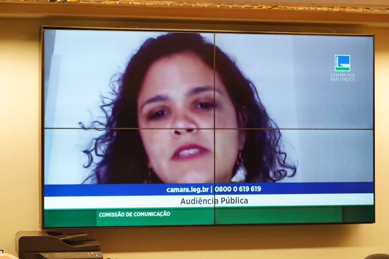 Audiência Pública - Fake news e disseminação de ódio nas redes. Representante Intervozes, Viviane da Rosa Tavares.