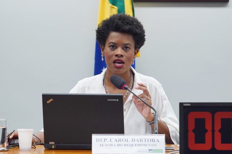 Audiência Pública - Fake news e disseminação de ódio nas redes. Dep. Carol Dartora (PT - PR)