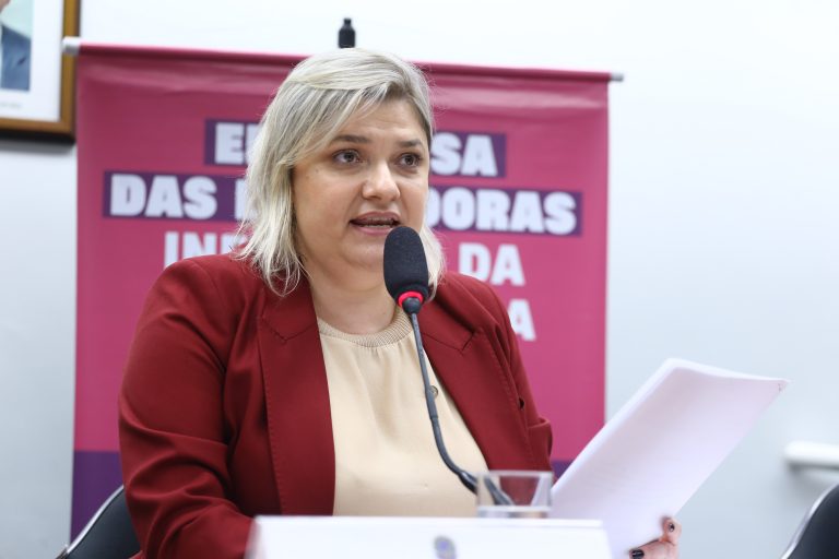 Audiência Pública para debater sobre Educadoras da primeiríssima infância. Dep. Professora Luciene Cavalcante (PSOL - SP)