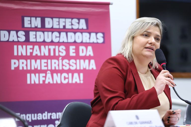 Audiência Pública para debater sobre Educadoras da primeiríssima infância. Dep. Professora Luciene Cavalcante (PSOL - SP)