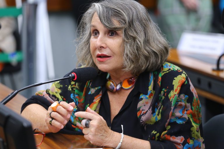 Audiência Pública para debater sobre a realização da 17ª Conferência Nacional de Saúde. Dep. Erika Kokay (PT - DF)