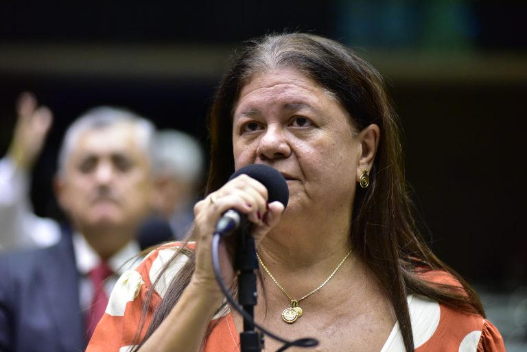 Deputada Laura Carneiro (PSD-RJ) no Plenário da Câmara dos Deputados