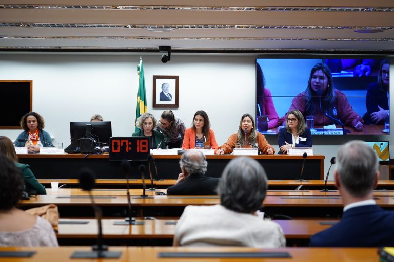 Audiência Pública para tratar das formas de enfrentamento aos índices de violência obstétrica e morte materna no Brasil