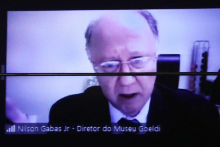 Audiência Pública - A necessidade de melhoria de infraestrutura do Museu Paraense Emílio Goeldi (Mpeg) e da realização de concurso público ao provimento de vagas na instituição. Diretor do Museu Paraense Emílio Goeldi (Mpeg) ,Nilson Gabas Júnior.