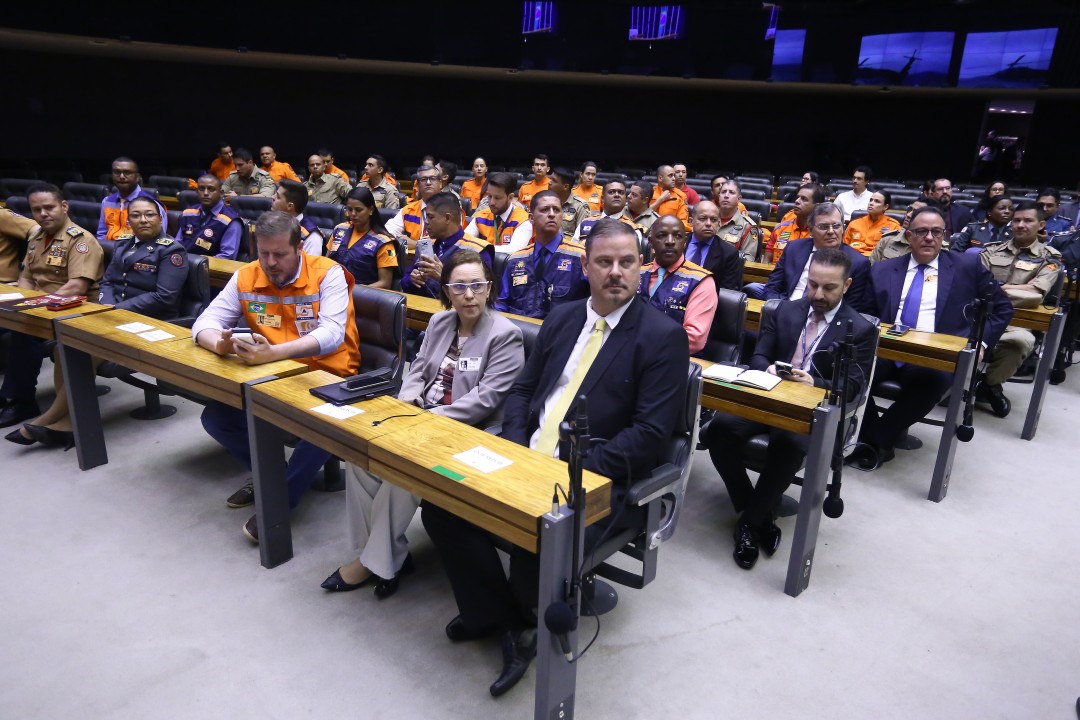 Profissionais que atuam na gestão de desastres acompanham a sessão solene