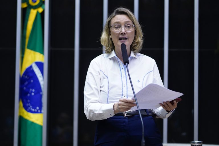 Sessão Deliberativa. Dep. Maria do Rosário (PT - RS).