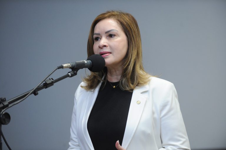 Seminário Novo Ensino Médio. Dep. Socorro Neri (PP - AC)