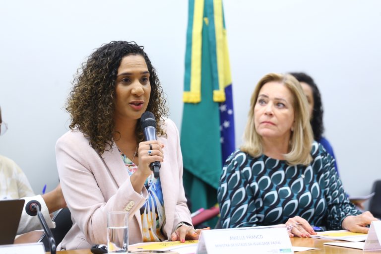 Planos de estratégias do Ministério para os próximos anos. Presença da Ministra da Igualdade Racial, Anielle Franco. Dep. Lêda Borges (PSDB - GO)