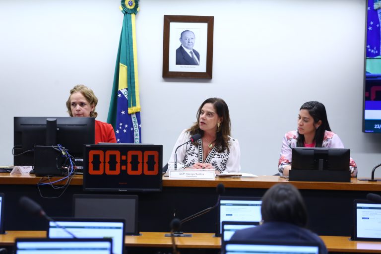 Audiência Pública - Os impactos da violência obstétrica na primeira infância e no aumento da incidência da prematuridade