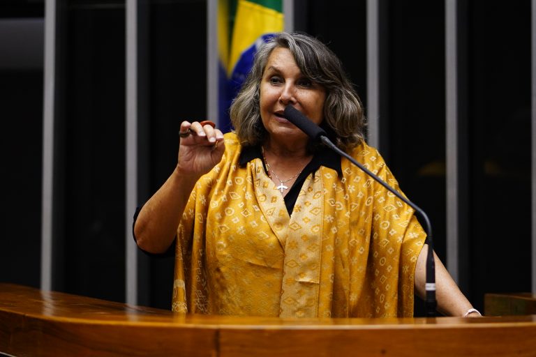 Sessão para a votação de propostas legislativas. Dep. Erika Kokay(PT - DF)