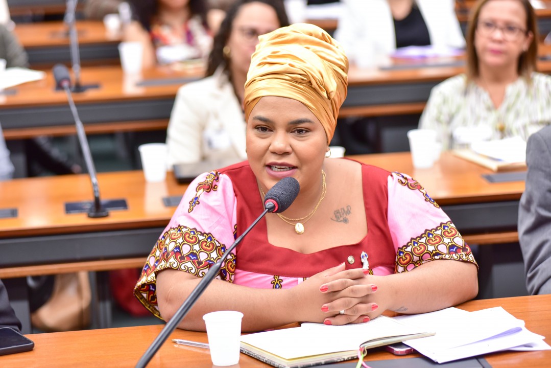 Audiência Pública - Financiamento da extensão universitária. Dep. Dandara (PT - MG)